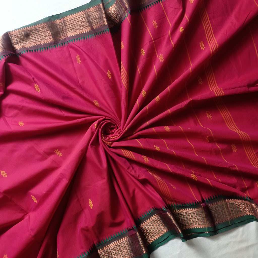 Tamil Nadu Cotton Saree with Applique Blouse-Saree Blouse Combo