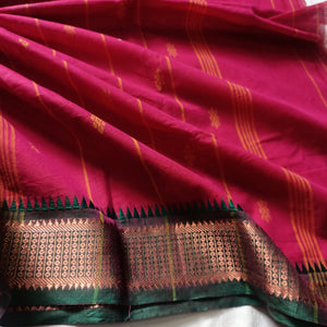 Tamil Nadu Cotton Saree with Applique Blouse-Saree Blouse Combo