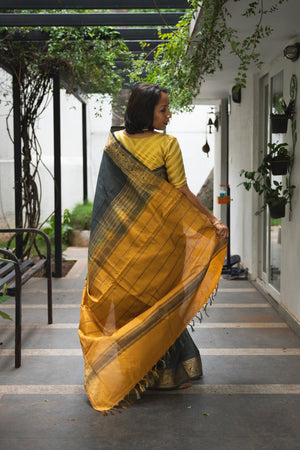 Black pure silk chinnlampattu saree with gold blouse - saree blouse combo
