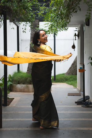 Black pure silk chinnlampattu saree with gold blouse - saree blouse combo